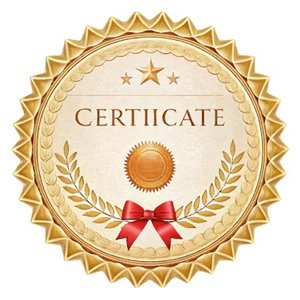Dinglian certification and quality standards badge including CE, FDA, ISO 13485