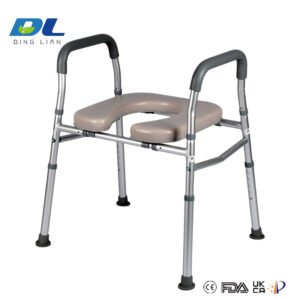 DL-2016LA disabled toilet handrail installed beside toilet for accessibility support